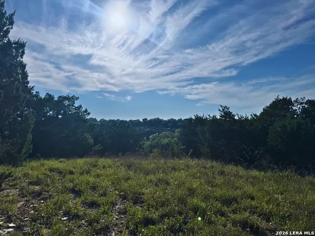 1013 Flint Ln, Spring Branch, TX 78070 - #1