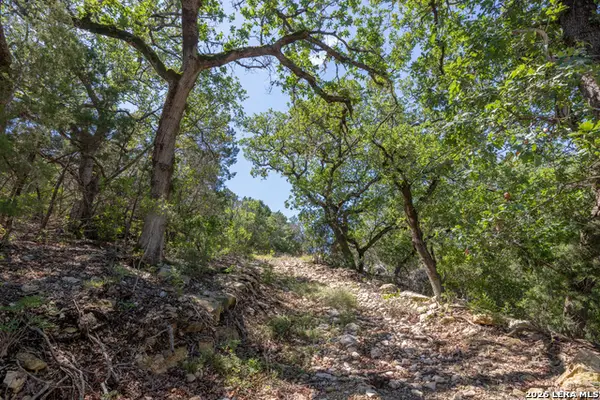 625 County Road 2763, Mico, TX 78056