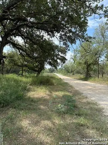 20594 S State Highway 16, Atascosa, TX 78264
