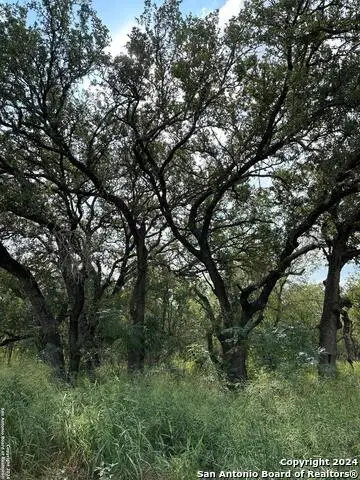 20594 S State Highway 16, San Antonio South, TX 78264 - #2