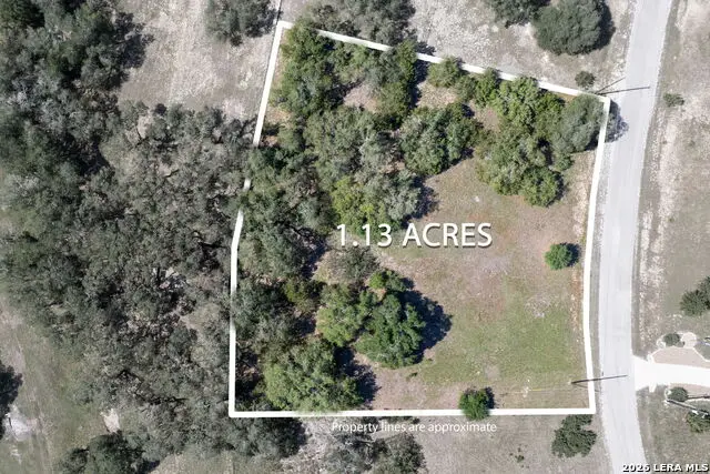 106 Riley Wood, Blanco, TX 78606 - #3