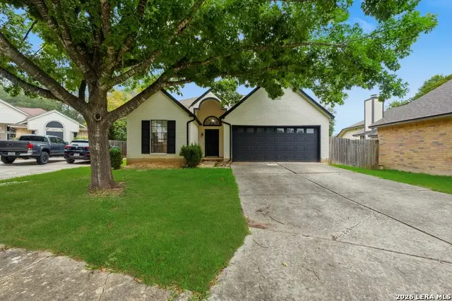 9010 Fromage, San Antonio, TX 78250 - #2
