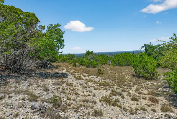 455 Oak View Dr, Lakehills, TX 78063