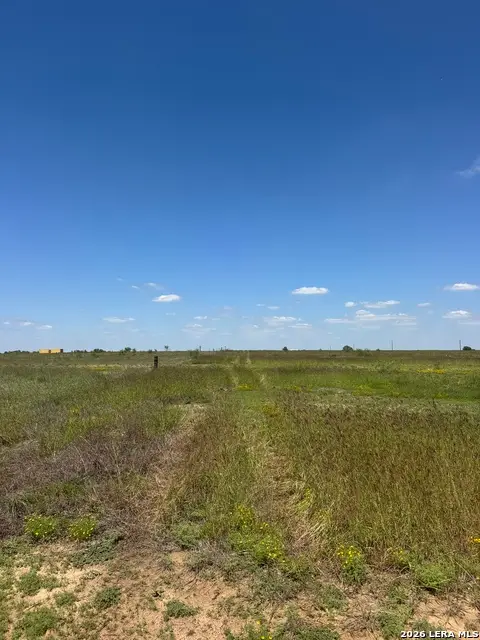 2731 Atascosa County Road 101, Floresville, TX 78114 - #2