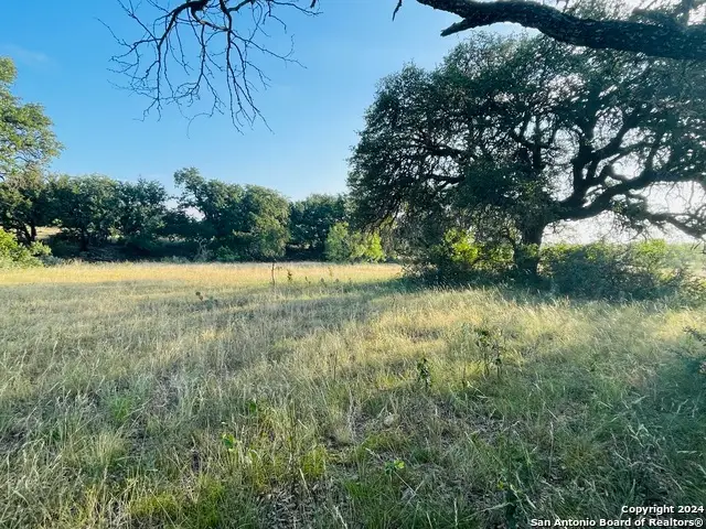 1542 Elm Springs Trl, Menard, TX 76859 - #2
