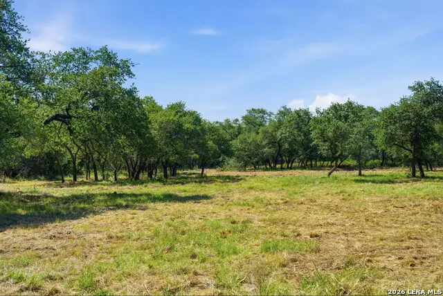 189 Survista Ln, New Braunfels, TX 78132 - #2