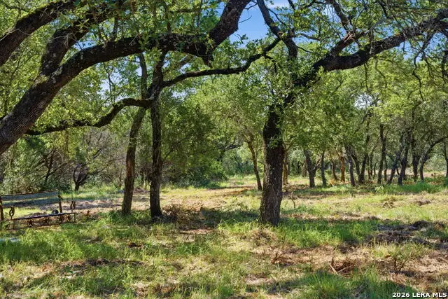 189 Survista Ln, New Braunfels, TX 78132 - #3