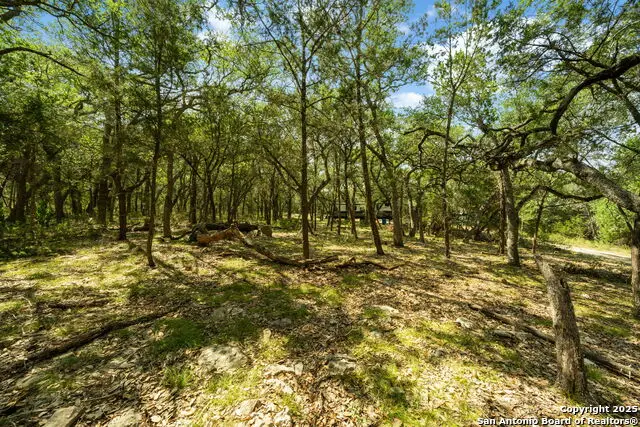 1775 Lost Trl, New Braunfels, TX 78132 - #3