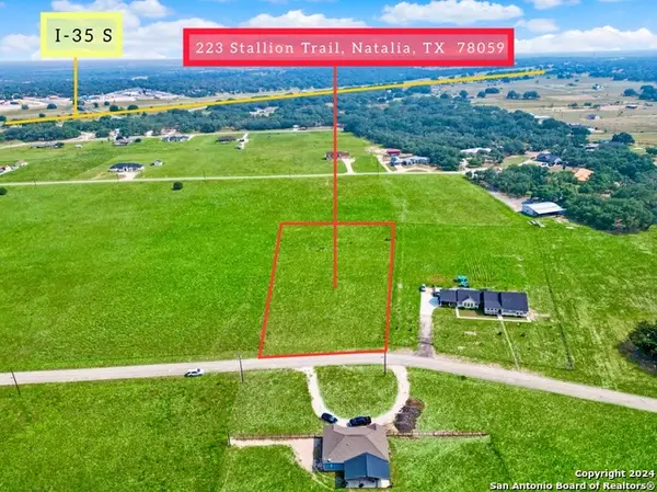 223 Stallion Trl, Natalia, TX 78059