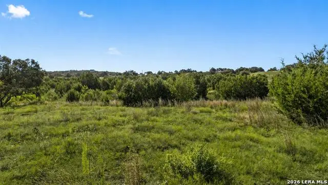 386 Appaloosa Run, Round Mountain, TX 78663 - #2