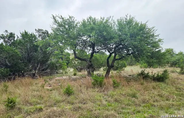 TBD Falling Oak, Blanco, TX 78606 - #1