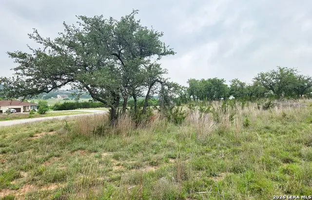 TBD Falling Oak, Blanco, TX 78606 - #3