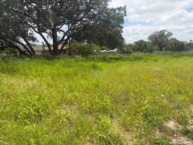 615 Rossville Rd, Devine, TX 78016 - #3