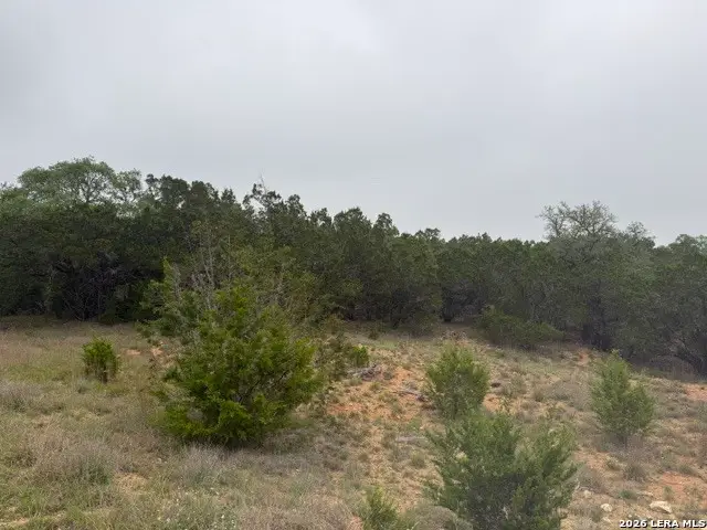 103 Buttermilk, Spring Branch, TX 78070 - #3