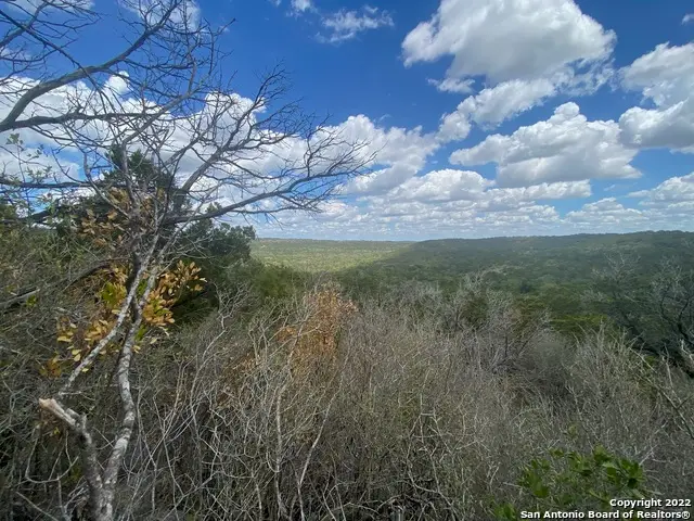 0 County Road 2751, Mico, TX 78056 - #2