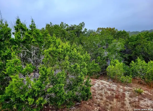 193 Appaloosa Dr, Fischer, TX 78623 - #1