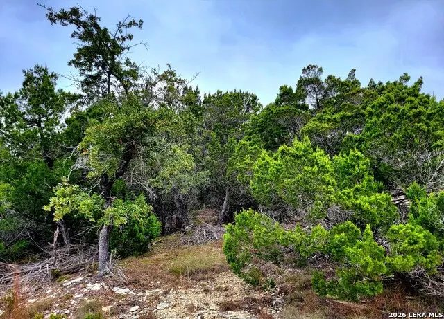 171 Appaloosa Dr, Fischer, TX 78623 - #1
