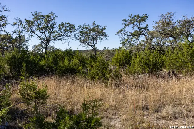 BLOCK 1, LOT 7 Standing Tall, Boerne, TX 78006 - #3