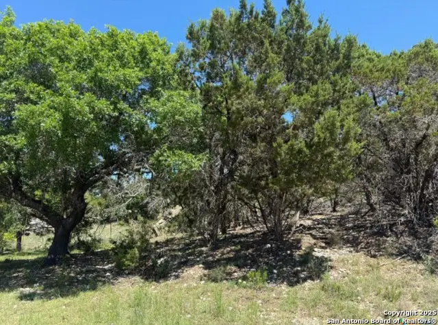 1352 Stardust Dr, Canyon Lake, TX 78133 - #2