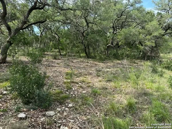 20330 Bobwhite Run, San Antonio, TX 78256