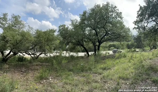 20330 Bobwhite Run, San Antonio, TX 78256 - #2