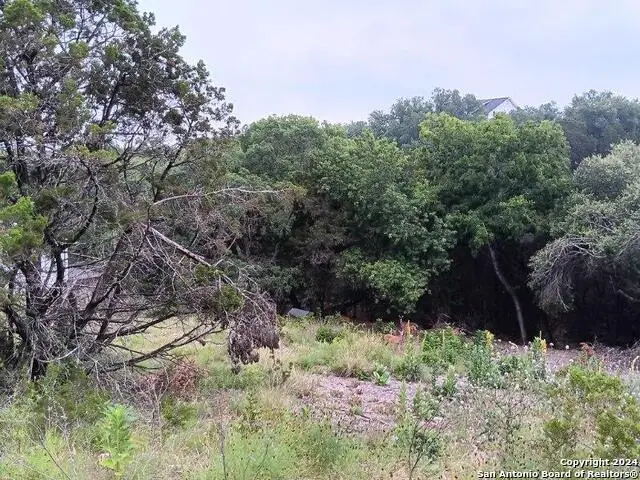 421 Lexington Pass, Canyon Lake, TX 78133 - #1