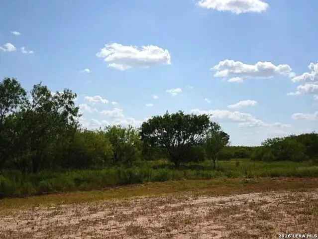 614 Hidden Ranch Ln, Floresville, TX 78114 - #3