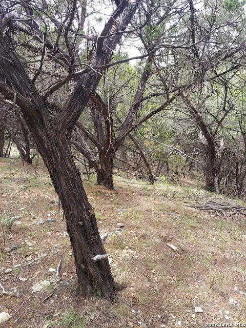 LOT 10 Canyon, Lakehills, TX 78063 - #2