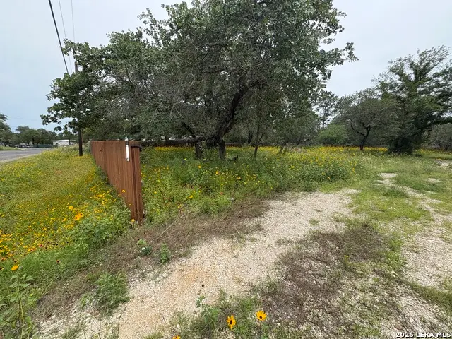 22847 Black Cherry, Elmendorf, TX 78112 - #3