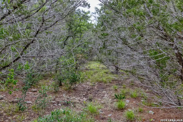 LOT 154 1796 Ranch, Dhanis, TX 78850 - #3