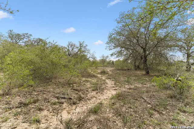 174 Adcock Lane, Somerset, TX 78069 - #2