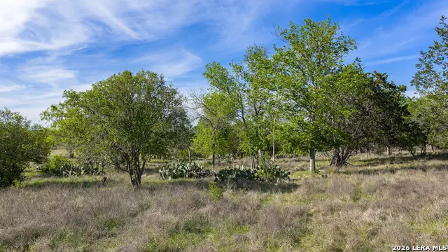 0019 Clearwater, Comfort, TX 78013 - #3