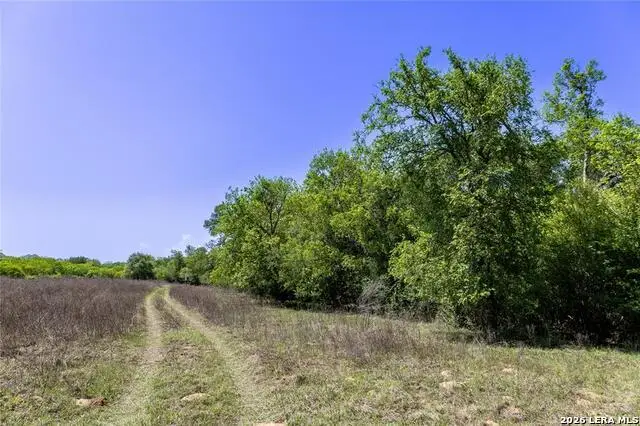 2990 Fm 467, Seguin, TX 78155 - #3