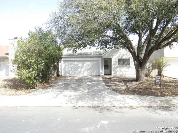 10243 Raven Field, San Antonio, TX 78245