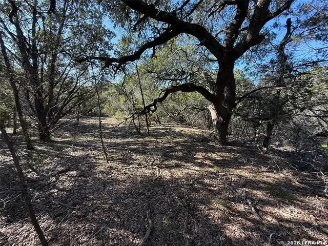 105 S Park Rd, Wimberley, TX 78676 - #3