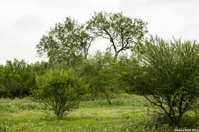 478_498 Cr 7421, Yancey, TX 78886 - #3