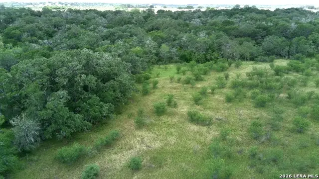 12250 Fm 3353 Tract B, Kingsbury, TX 78155 - #1