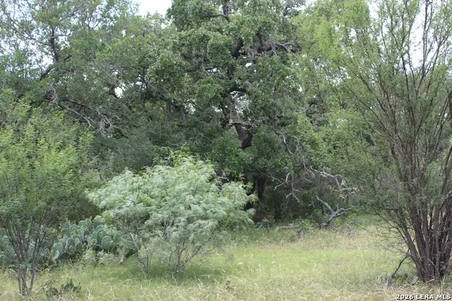 12250 Fm 3353 Tract B, Kingsbury, TX 78155 - #2