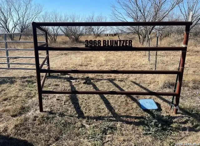 3968 Bluntzer Rd, Jourdanton, TX 78026 - #1