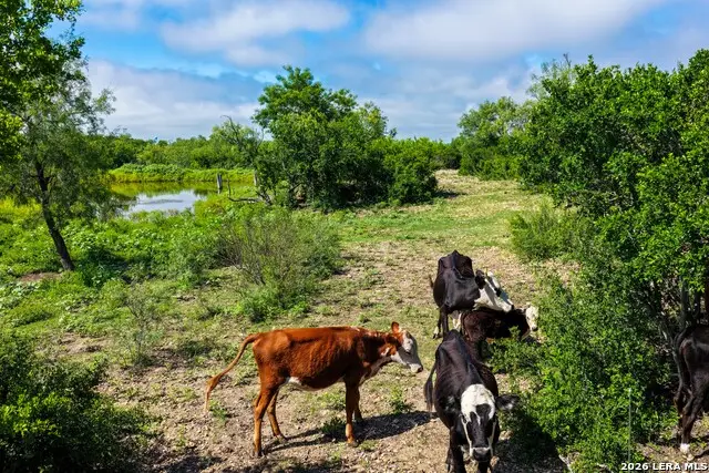 000 Private Road 5754, Castroville, TX 78009 - #3