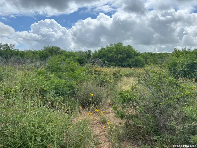 0 Cr 1515, Moore, TX 78057 - #2