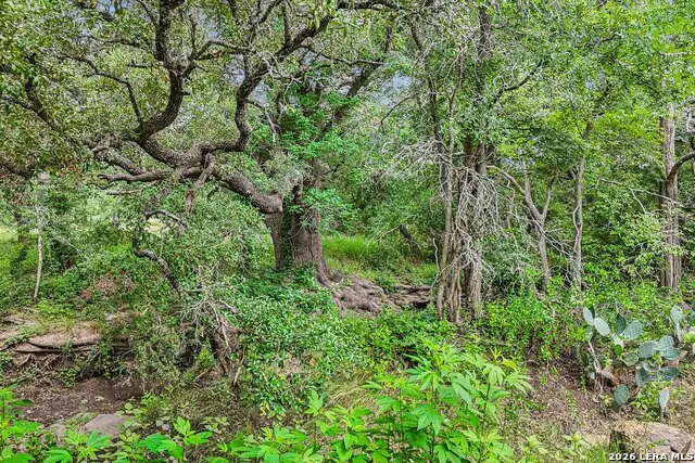1617 Blue Creek Rd, La Vernia, TX 78121 - #3