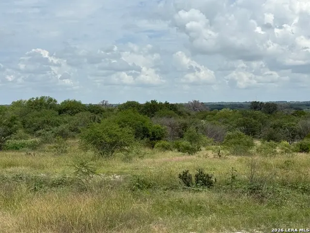 TBD Fm 2102, Kenedy, TX 78119 - #1