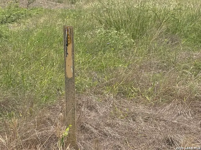 TBD Fm 2102, Kenedy, TX 78119 - #3