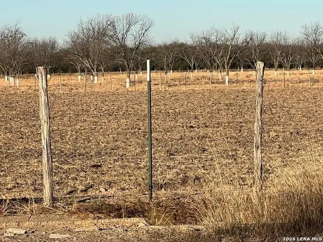 LOT C Fm 1908, Quemado, TX 78877 - #2