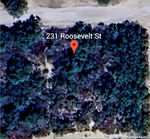 231 Roosevelt St., El Indio, TX 78860 - #1