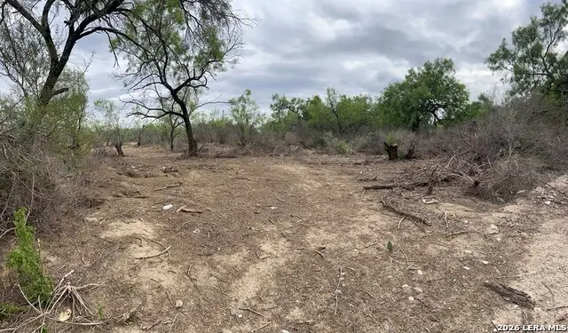 231 Roosevelt St., El Indio, TX 78860 - #2