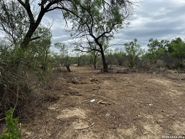231 Roosevelt St., El Indio, TX 78860 - #3