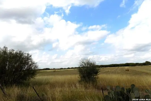 1175 Moses Rd, Quemado, TX 78877 - #3