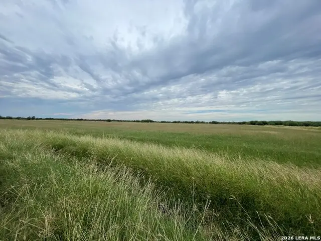 1085 Moses Rd, Quemado, TX 78877 - #2